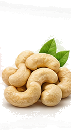 Whole Cashew Nuts