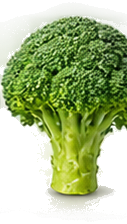 Fresh Broccoli