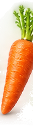 Baby Carrot