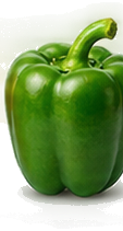 Green Bell Pepper